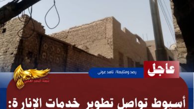 نسخة من نسخة من نسخة من نسخة من نسخة من نسخة من 1000 canvi.psd 20260520 125610 ٠٠٠٠