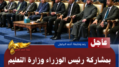 نسخة من نسخة من نسخة من نسخة من نسخة من نسخة من 1000 canvi.psd 20260520 134101 ٠٠٠٠