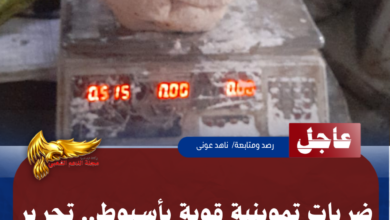 نسخة من نسخة من نسخة من نسخة من نسخة من نسخة من 1000 canvi.psd 20260521 154146 ٠٠٠٠