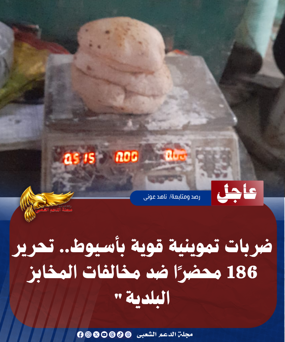 نسخة من نسخة من نسخة من نسخة من نسخة من نسخة من 1000 canvi.psd 20260521 154146 ٠٠٠٠