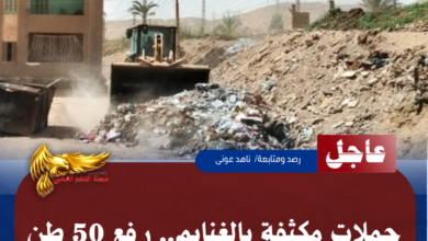 نسخة من نسخة من نسخة من نسخة من نسخة من نسخة من 1000 canvi.psd 20260521 161531 ٠٠٠٠