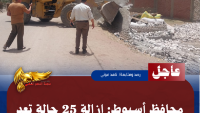 نسخة من نسخة من نسخة من نسخة من نسخة من نسخة من 1000 canvi.psd 20260521 165213 ٠٠٠٠