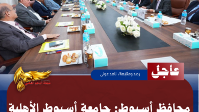 نسخة من نسخة من نسخة من نسخة من نسخة من نسخة من 1000 canvi.psd 20260521 170942 ٠٠٠٠