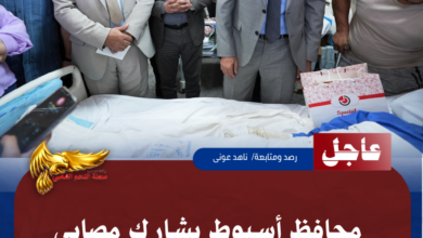 نسخة من نسخة من نسخة من نسخة من نسخة من نسخة من 1000 canvi.psd 20260525 143236 ٠٠٠٠