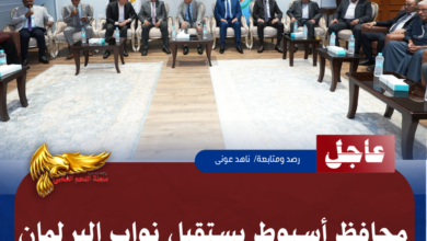 نسخة من نسخة من نسخة من نسخة من نسخة من نسخة من 1000 canvi.psd 20260525 171002 ٠٠٠٠