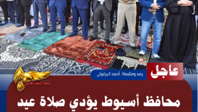 نسخة من نسخة من نسخة من نسخة من نسخة من نسخة من 1000 canvi.psd 20260527 085153 ٠٠٠٠