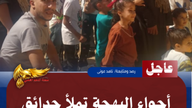 نسخة من نسخة من نسخة من نسخة من نسخة من نسخة من 1000 canvi.psd 20260527 170759 ٠٠٠٠