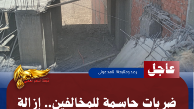 نسخة من نسخة من نسخة من نسخة من نسخة من نسخة من 1000 canvi.psd 20260528 111358 ٠٠٠٠