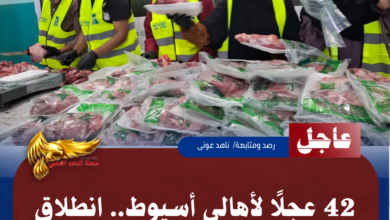نسخة من نسخة من نسخة من نسخة من نسخة من نسخة من 1000 canvi.psd 20260528 112118 ٠٠٠٠