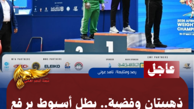نسخة من نسخة من نسخة من نسخة من نسخة من نسخة من نسخة من 1000 canvi.psd 20260514 160914 ٠٠٠٠