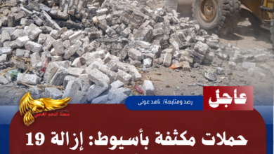 نسخة من نسخة من نسخة من نسخة من نسخة من نسخة من نسخة من 1000 canvi.psd 20260514 161933 ٠٠٠٠