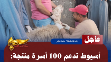 نسخة من نسخة من نسخة من نسخة من نسخة من نسخة من نسخة من 1000 canvi.psd 20260514 164117 ٠٠٠٠