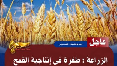 IMG 20260627 WA0155