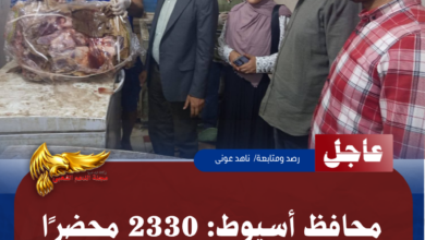 نسخة من نسخة من نسخة من نسخة من نسخة من نسخة من 1000 canvi.psd 20260603 112438 ٠٠٠٠