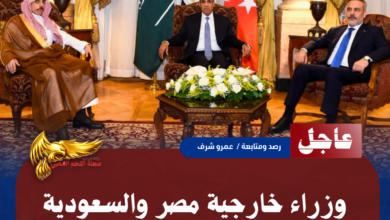 نسخة من نسخة من نسخة من نسخة من نسخة من نسخة من 1000 canvi.psd 20260621 125624 ٠٠٠٠