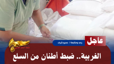 نسخة من نسخة من نسخة من نسخة من نسخة من نسخة من 1000 canvi.psd 20260627 123002 ٠٠٠٠