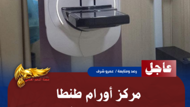 نسخة من نسخة من نسخة من نسخة من نسخة من نسخة من 1000 canvi.psd 20260627 123455 ٠٠٠٠