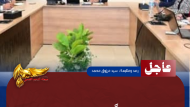 نسخة من نسخة من نسخة من نسخة من نسخة من نسخة من نسخة من 1000 canvi.psd 20260611 104702 ٠٠٠٠