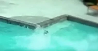 116 8