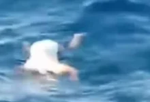 155 3