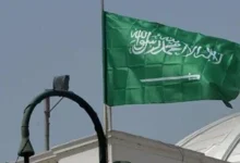 233