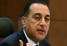 241