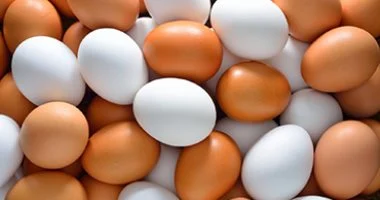 48 10