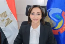 529