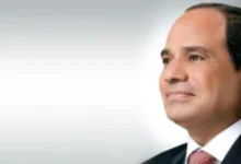 56 6