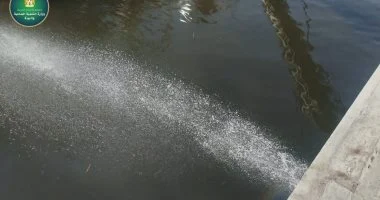 86 17