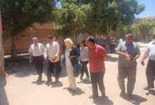 FB IMG 1784062138819