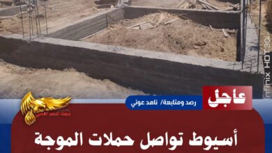 IMG 20260716 WA0175