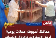 IMG 20260717 WA0145