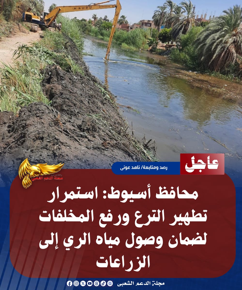 IMG 20260719 WA01741