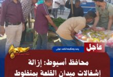 IMG 20260721 WA0208