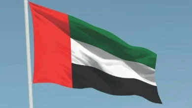 تنزيل 3
