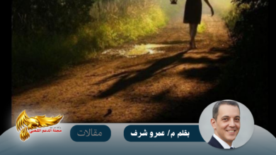 نسخة من نسخة من نسخة من نسخة من canvi xxxx مقالات copy.psd 20260727 173714 ٠٠٠٠