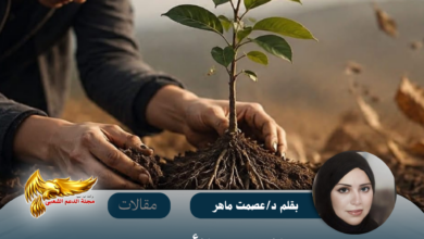 نسخة من نسخة من نسخة من نسخة من نسخة من canvi xxxx مقالات copy.psd 20260716 120350 0000