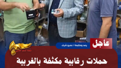 نسخة من نسخة من نسخة من نسخة من نسخة من نسخة من 1000 canvi.psd 20260701 124535 ٠٠٠٠