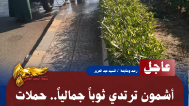 نسخة من نسخة من نسخة من نسخة من نسخة من نسخة من 1000 canvi.psd 20260709 102925 0000