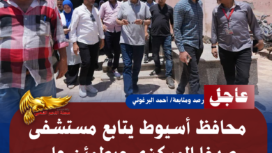 نسخة من نسخة من نسخة من نسخة من نسخة من نسخة من نسخة من 1000 canvi.psd 20260712 113751 0000