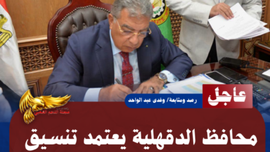 نسخة من نسخة من نسخة من نسخة من نسخة من نسخة من نسخة من 1000 canvi.psd 20260714 114222 0000