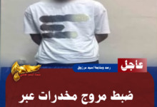 نسخة من نسخة من نسخة من نسخة من نسخة من نسخة من نسخة من 1000 canvi.psd 20260715 135033 0000