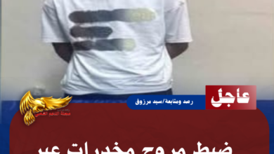 نسخة من نسخة من نسخة من نسخة من نسخة من نسخة من نسخة من 1000 canvi.psd 20260715 135033 0000