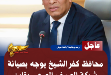 نسخة من نسخة من نسخة من نسخة من نسخة من نسخة من نسخة من 1000 canvi.psd 20260726 164627 0000