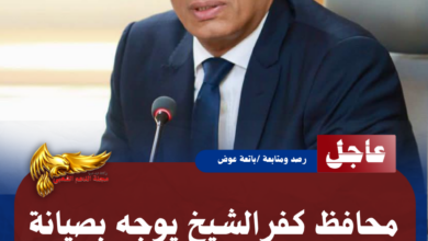 نسخة من نسخة من نسخة من نسخة من نسخة من نسخة من نسخة من 1000 canvi.psd 20260726 164627 0000