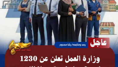 نسخة من نسخة من نسخة من نسخة من نسخة من نسخة من نسخة من نسخة من 1000 canvi. 20260709 234247 ٠٠٠٠
