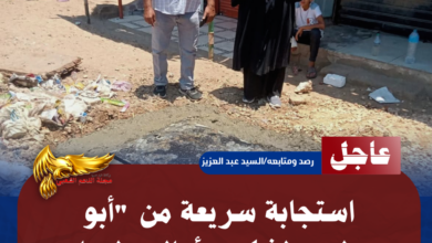 نسخة من نسخة من نسخة من نسخة من نسخة من نسخة من نسخة من نسخة من 1000 canvi. 20260715 000117 ٠٠٠٠