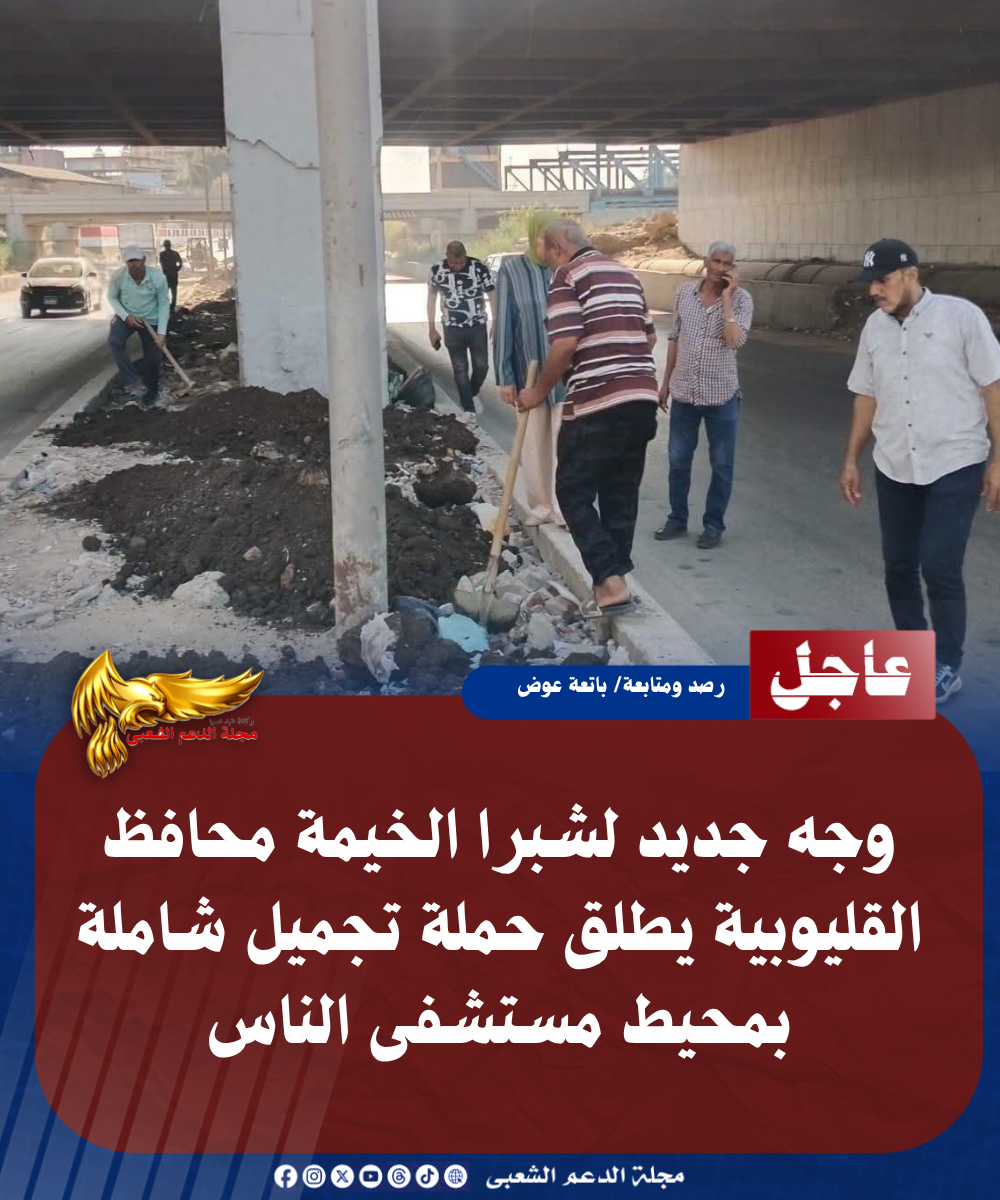 نسخة من نسخة من نسخة من نسخة من نسخة من نسخة من نسخة من نسخة من 1000 canvi. 20260727 151846 0000
