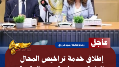 نسخة من نسخة من نسخة من نسخة من نسخة من نسخة من نسخة من نسخة من 1000 canvi. 20260728 084757 ٠٠٠٠